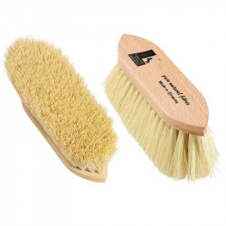 Mankborste Mexikansk Fiber