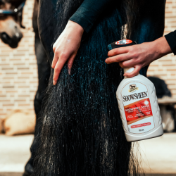 Absorbine ShowSheen 2