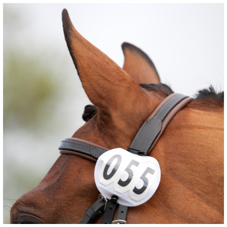 Tävlingsnummer Rund