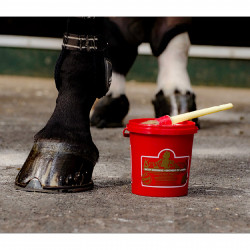 Kevin Bacon Hoof Dressing 2