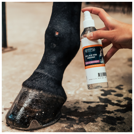 Biofarmab AloeVera Spray 99 %