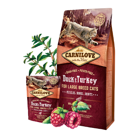 Carnilove Cat Large Breed