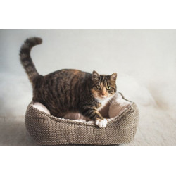 Dogman Mysan - Rektangulär 2