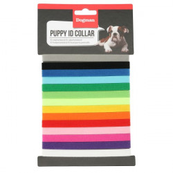 Puppy ID Collar - Valphalsband