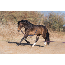 Jacson Longeringshjälp 2