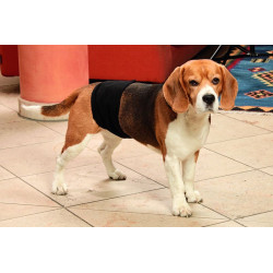 Karlie Gentleman Wrap