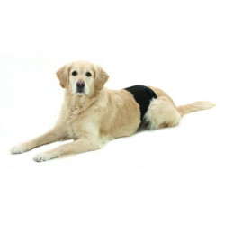 Karlie Gentleman Wrap 2