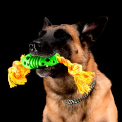 Globus Gummitugg m. Rep 2