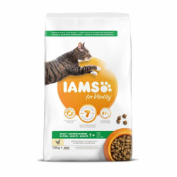 Iams Adult - Chicken