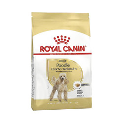 Royal Canin Adult Poodle