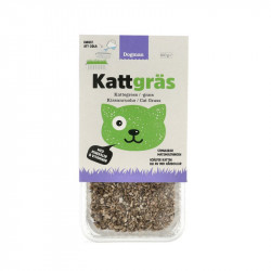 Dogman Kattgräs