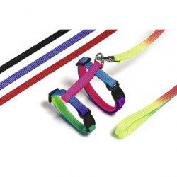 Sele + Koppel - Svart