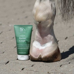 BlueHors Barrier Cream 2