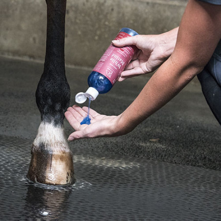 BlueHors White Matiné