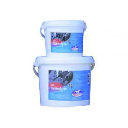 RS Mustang Elektrolyter