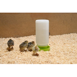 Vattenautomat Vaktel - 1 Liter 2