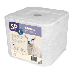 SP Sheep Saltsten