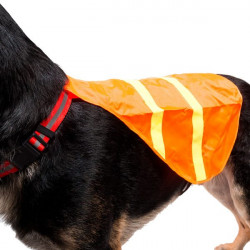 Reflexväst Orange 2