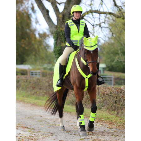 Equi-Flector Reflexbrösta