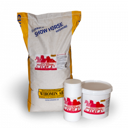 Show Horse Muscle Power