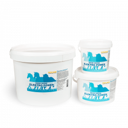 Show Horse Electro Power