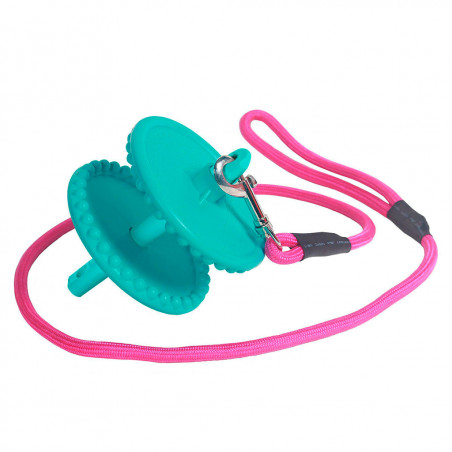 Likit Holder