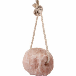 Himalaya Saltsten - 2,5Kg