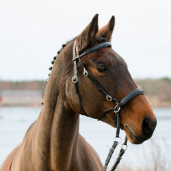 Globus Bettlöst Träns