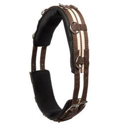 Globus Träningsgjord