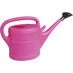 Vattenkanna Rosa