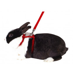 Kaninsele m. Koppel 2