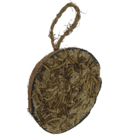 Halv Kokosnöt - 250g