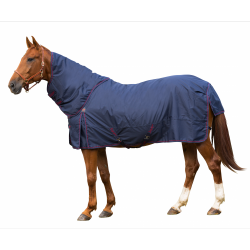 Lippo Basic Plus 100gr