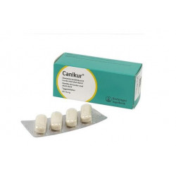 Canikur Tuggtablett - 12pack