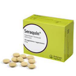 Seraquin Tabletter - 60st