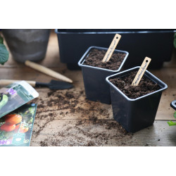 Plastkruka 9cm - 20pack 2