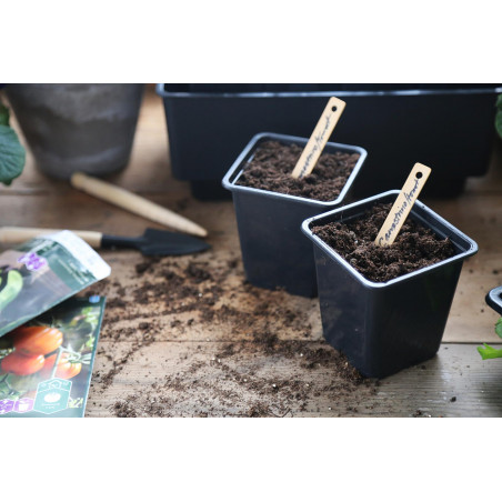 Plastkruka 9cm - 20pack