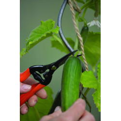 Skördesax Curved Blade 2