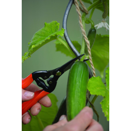 Skördesax Curved Blade