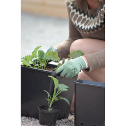 Handske Comfort Grön 2