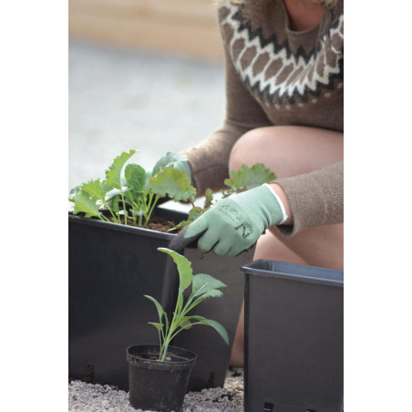 Handske Comfort Grön