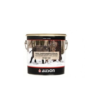 Auson Vildsvinstjära