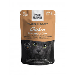 FourFriends Cat Blötmat Adult Gravy 2