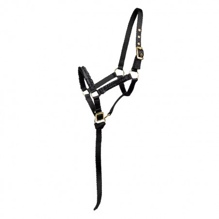 HansboSport Fölgrimma Rosett