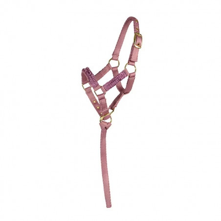 HansboSport Fölgrimma Rosett