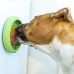 LickiMat Ufo Grön 2