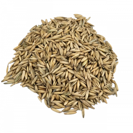 Stigtomta Kvarn Havre