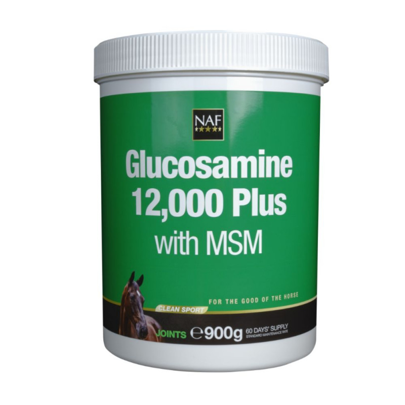 Glucosamine 10.000 + MSM