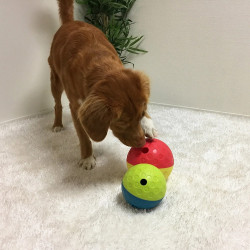 Nina Ottosson Aktivering Tumble 2