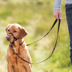 Nossele Top-Trainer